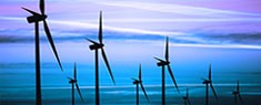 sectors - renewables - windfarm